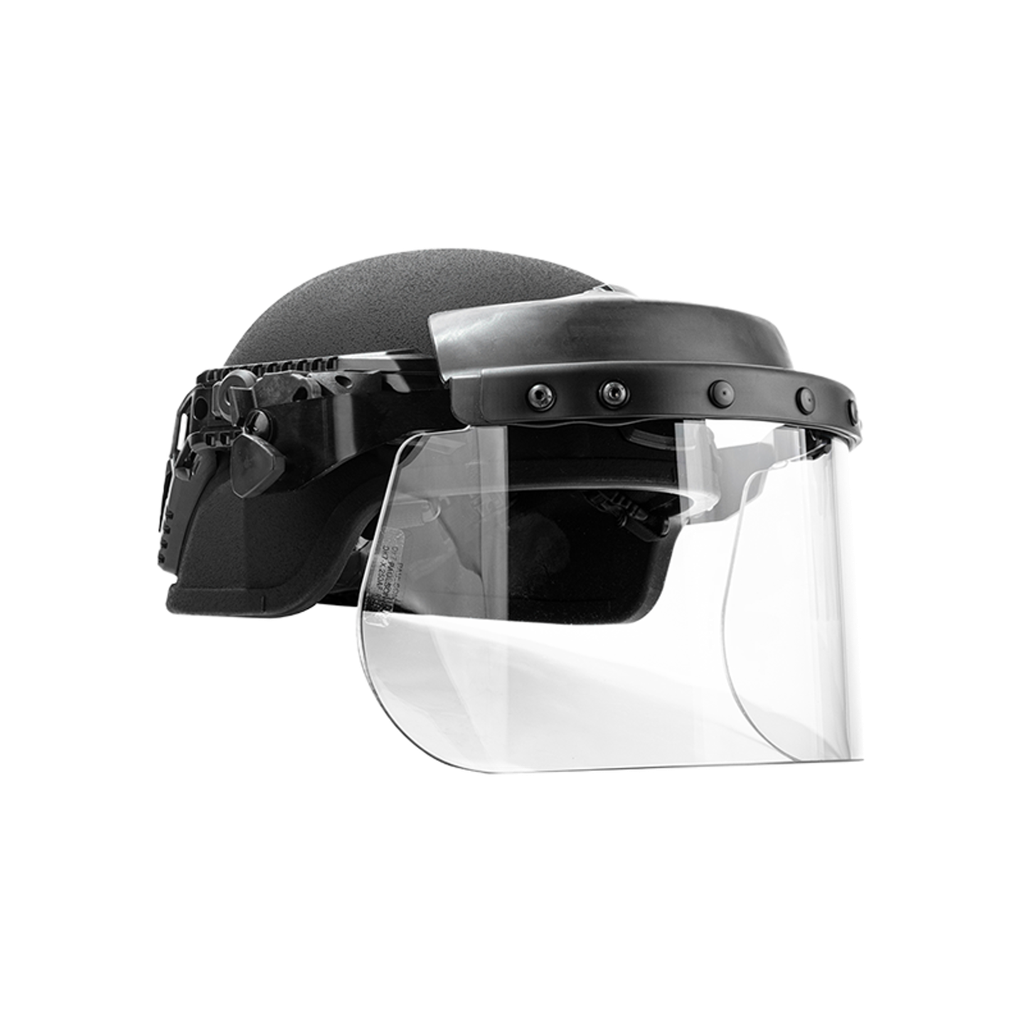 Team Wendy Railmount Faceshield